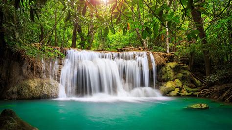 Time-lapse photo of waterfall, fall, trees, nature, pond HD wallpaper | Wallpaper Flare