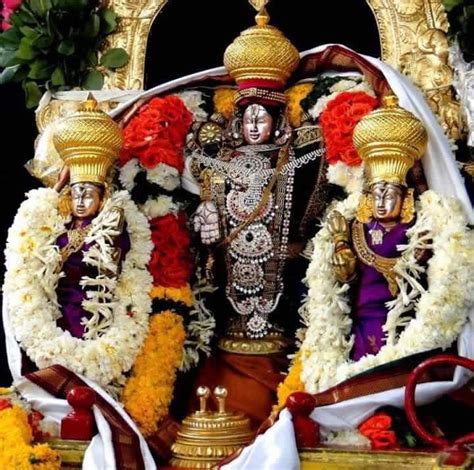 Daily Tirupati Balaji Darshan from Chennai | Tirupati Darshan Packages