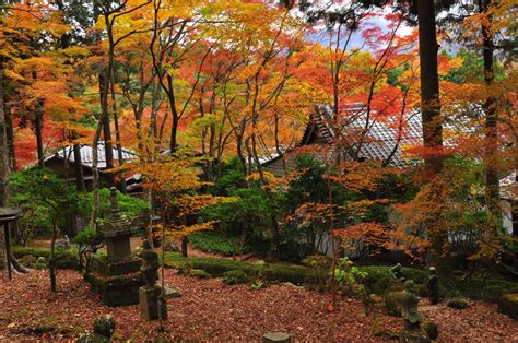 7 Ways to Enjoy Autumn in Hakone!｜THE GATE｜Japan Travel Magazine: Find ...