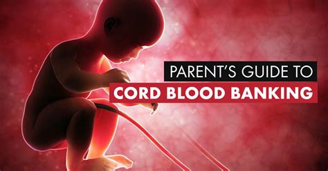 Cord Blood Banking - Blog - Regency Healthcare Ltd.