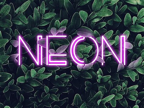 NEON Lettering Design on Behance