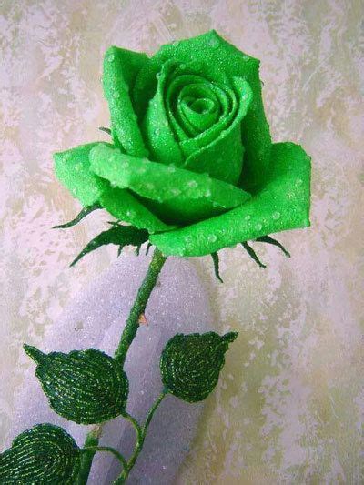 a green rose sitting in a vase on a tablecloth covered wall with white lace