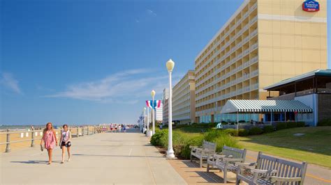 Are Dogs Allowed On Virginia Beach Boardwalk