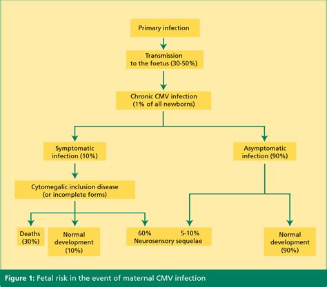 Figure 3 from Cytomegalovirus ( CMV ) and pregnancy | Semantic Scholar