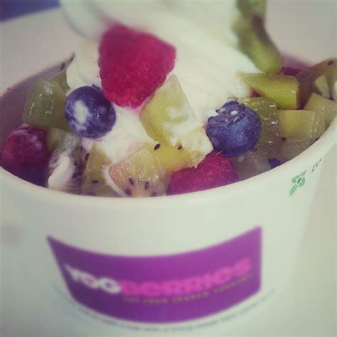 Frozen yogurt with fruit | Frozen yogurt, Fruit, Yogurt