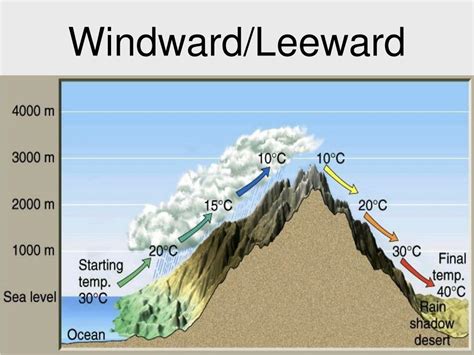 PPT - Weather, Climate, and Vegetation PowerPoint Presentation, free ...