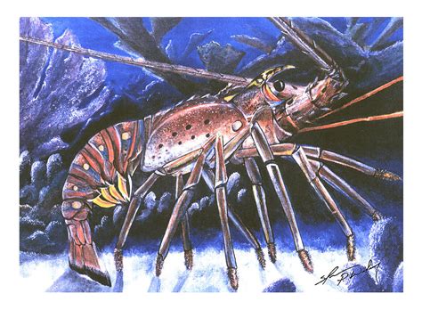 Lobster Walking Painting by Shannon Wiley