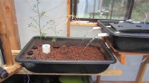 Aquaponics - 3 grow bed levels - YouTube