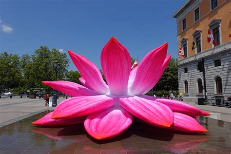 Breathing Lotus Flower @ Annecy Paysages Festival @ Annecy… | Flickr