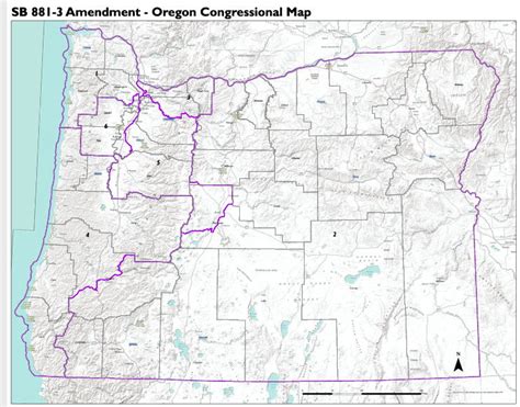 Oregon Legislature OKs new US House, legislative district boundaries on ...