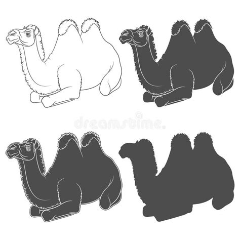 Bactrian Camel Stock Illustrations – 476 Bactrian Camel Stock Illustrations, Vectors & Clipart ...