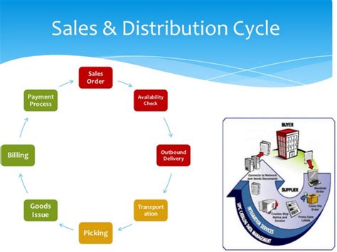 SAP Order-to-Cash Cycle—FI-SD Integration and Configuration | ToughNickel