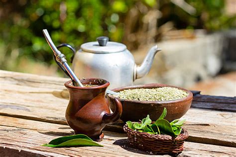 Yerba Mate Pictures, Images and Stock Photos - iStock