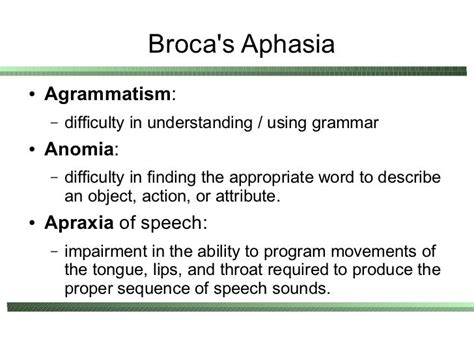 The Neurophysiology of Speech