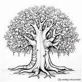 Tree Coloring Pages  Free & Printable sketch template