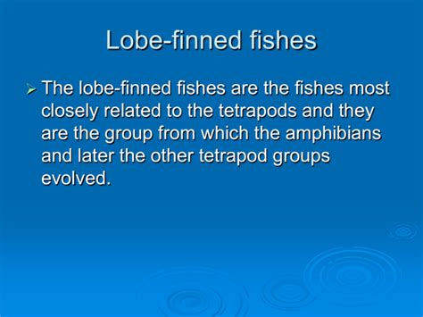 Topic 8 Lobe-finned fishes