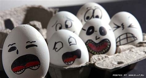 42 best images about egg face on Pinterest | You and i, Funny and Egg shells