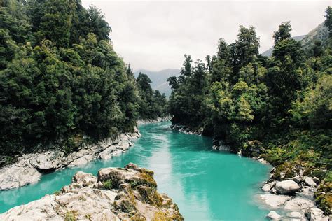 Foto de stock gratuita sobre agua, al aire libre, arboles