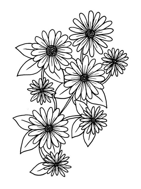 daisy flower printable coloring pages. Daisy is one favorite flower ...
