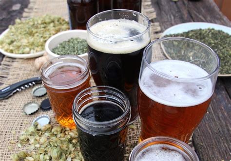 Learn to make herbal beer, mead, and wine, herbal kombucha and water ...