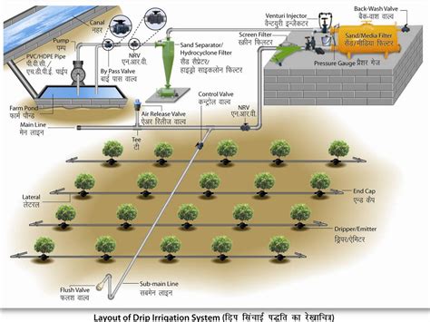 Drip irrigation in Nigeria