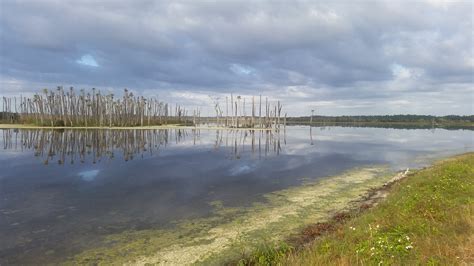 Orlando Wetlands Park – The Forgetful Wanderer