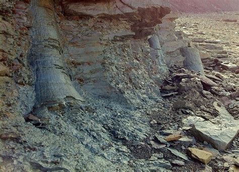 The Joggins Fossil Cliffs, a World Heritage Site situated on the Bay of Fundy in Nova Scotia ...