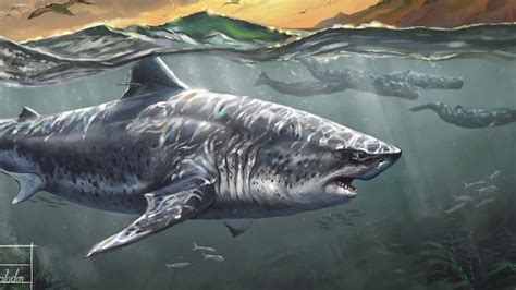 Megalodon Nurseries - The Softer Side of the Monster Shark - YouTube