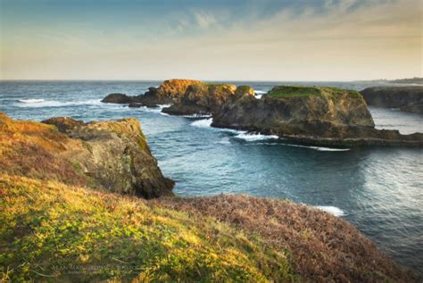 Mendocino Headlands State Park, California - Alan Majchrowicz