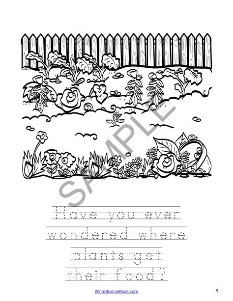 Photosynthesis Coloring Page for Kids - Worksheets Library