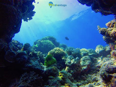 El Nido Scuba Diving, Philippines Scuba Diving - Adventugo