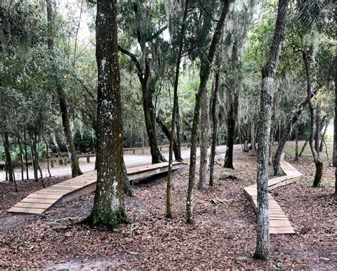 Riverbend Nature Park Mountain Bike Trail in Ormond Beach, Florida || SINGLETRACKS.COM