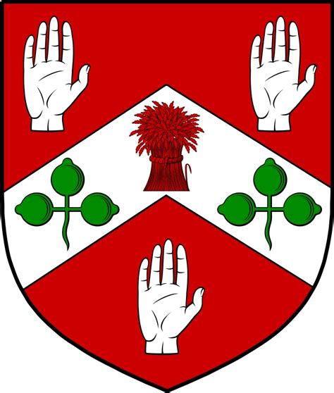 O‘Cullen Family Crest / Irish Coat of Arms Image Download - D...