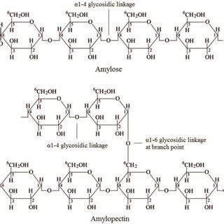 (PDF) Physical and Chemical Modifications in Starch Structure and ...