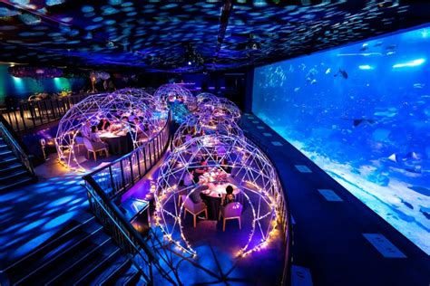 Dining with the underwater world | epicure Magazine