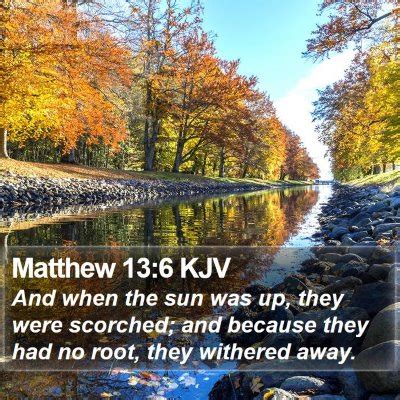 Matthew 13 Scripture Images - Matthew Chapter 13 KJV Bible Verse Pictures