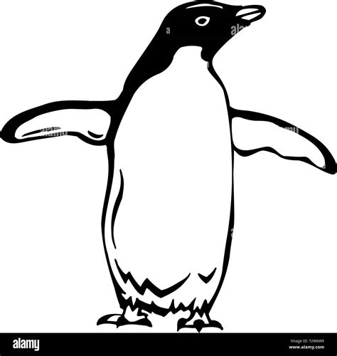 Penguin illustration Black and White Stock Photos & Images - Alamy