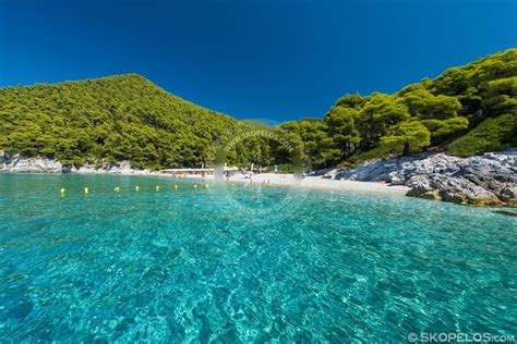 skopelos kastani beach Skopelos beaches, SKOPELOS.COM