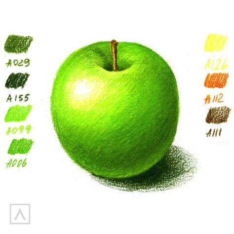 How to Color Realistically With Colored Pencils | ARTEZA