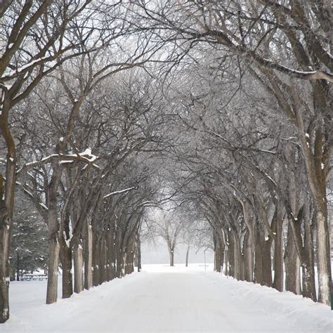 Assiniboine Park, Winnipeg, Manitoba Photograph by Keith Levit - Fine Art America