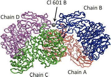 Structure of a glycoside hydrolase from Parabacteroides distasonis ATCC ...