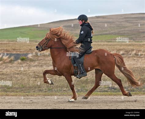 Tolt iceland hi-res stock photography and images - Alamy