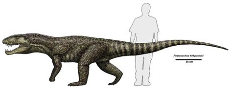 Postosuchus | Paleontology World