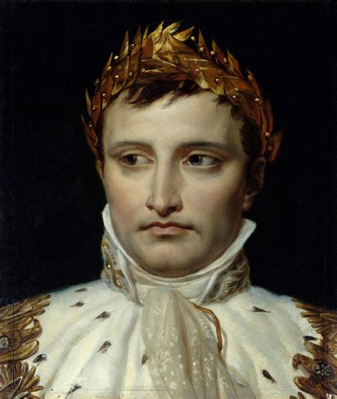 Portrait of Emperor Napoleon I Bonapart posters & prints by Jacques-Louis David