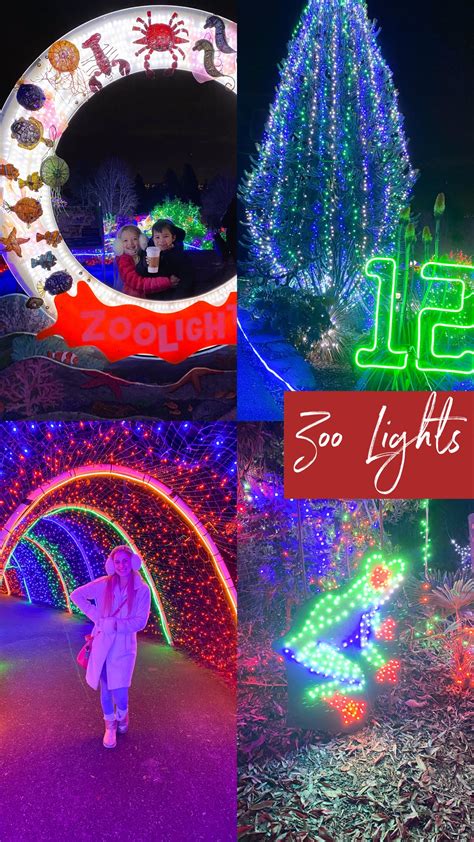 Zoo Lights at Point Defiance Zoo - Olivia Michelle