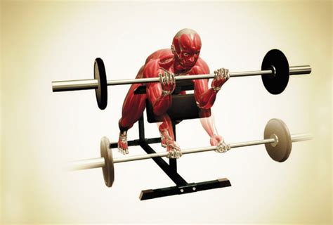 Anatomy of an Exercise - The Spider Curl | Muscle & Fitness