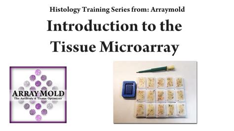 How To Create A Tissue Microarray Block - YouTube