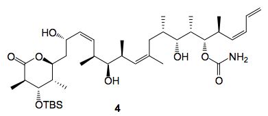 Forcing the reaction conditions results in significant formation of side products, the isolation ...