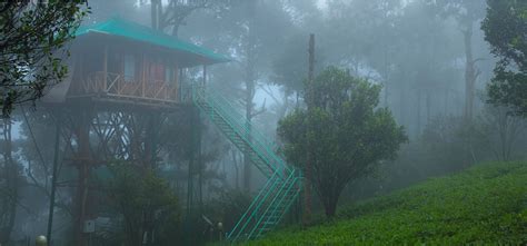 Best Honeymoon Resort in Munnar- Dream Catcher Resort - Live Kerala