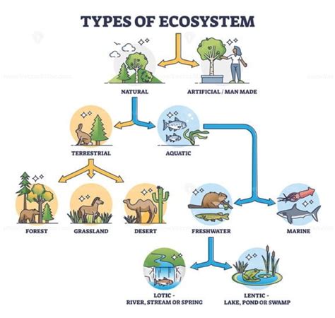 Types of ecosystem with natural and artificial division outline diagram ...